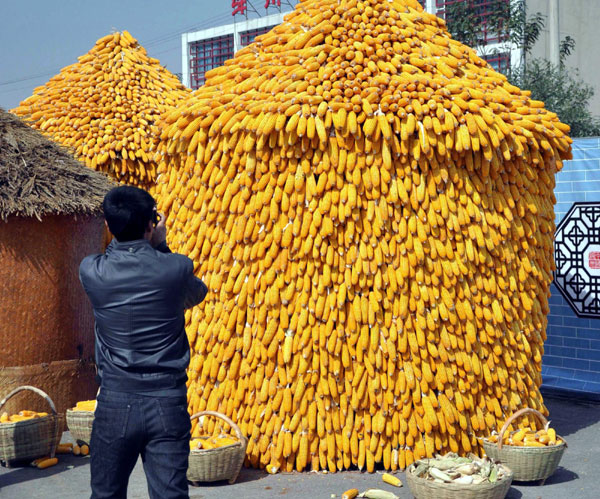 Good harvest in North China