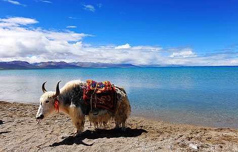 Tibet unveils national park at Heavenly Lake