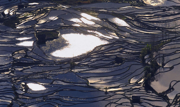 Patchwork beauty of Yunnan terraced fields