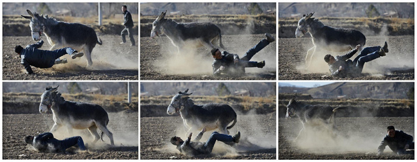 Villagers compete in donkey derby