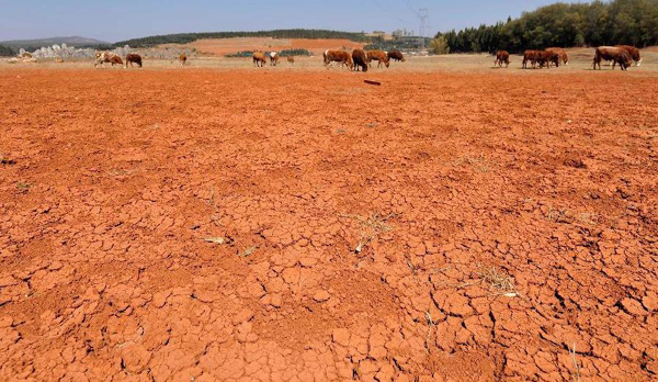4.97m affected by lingering drought in SW China