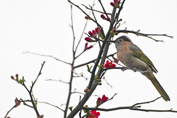 A glimpse of early spring