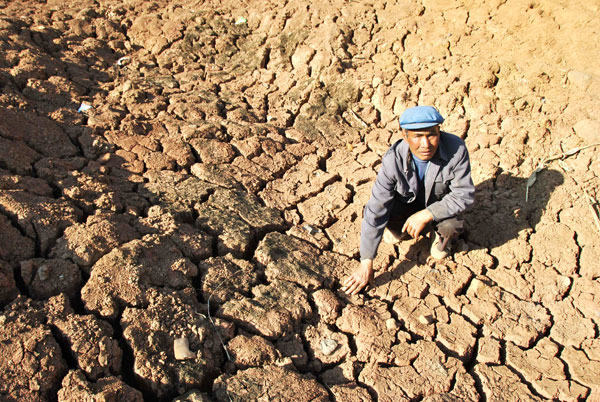 Consequences of long drought devastating