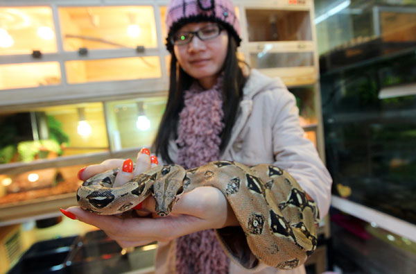Snakes slither into popularity