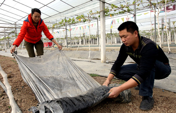 Family farms plant seeds for prosperity