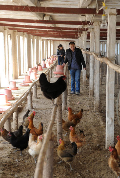 Graduate living the rural dream