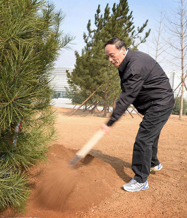 Xi plants trees, promotes 'beautiful China'