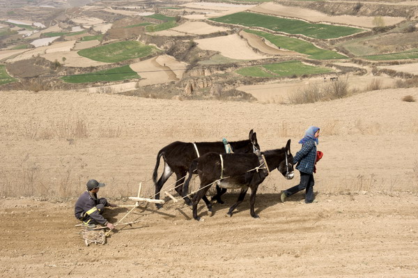 Lingering drought plagues NW China