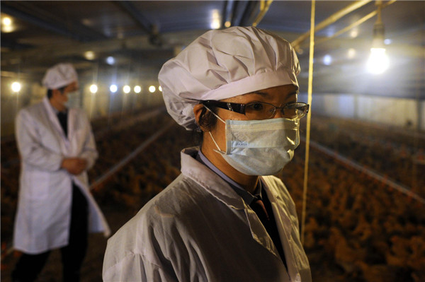Ensuring safety of poultry sent to HK, Macao