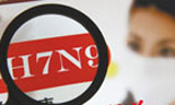 Beijing's H7N9 patients discharged from hospital