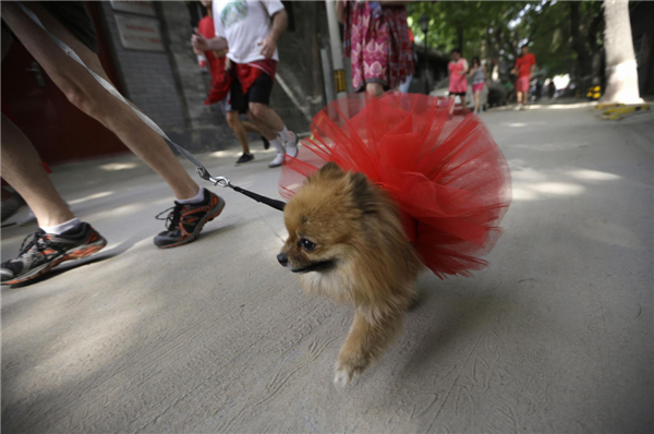 Red Dress Run charity event held on Mother's Day