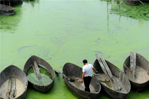 Harmful algae plagues E China's Chaohu Lake