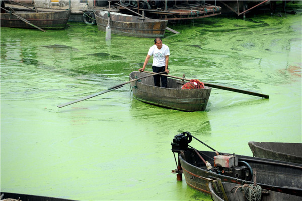 Harmful algae plagues E China's Chaohu Lake