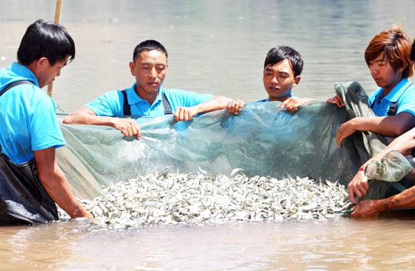 Fish releases aimed to protect plateau waters