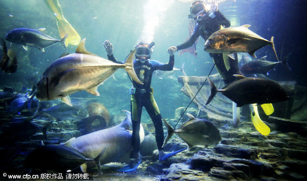 Friends with marine life at Wuhan's Sea World