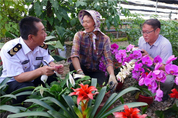 N China farmers get help from govt officials