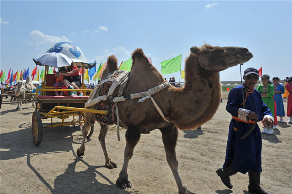 Naadam Festival trots into town for wild games