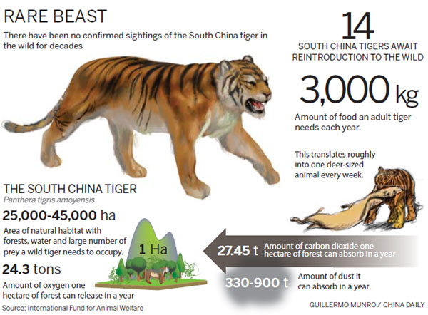 Arrival of China tigers put on hold