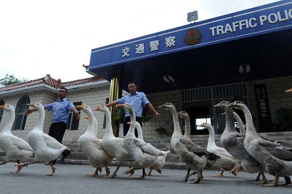 Birds of a feather flock together to boost police ranks in Xinjiang