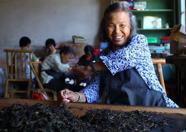 Farmers brew up wealth with native cup of tea