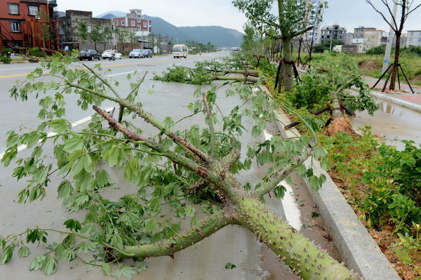 Typhoon Trami makes landfall in East China