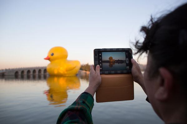 Rubber duck adjusting to spot at Summer Palace