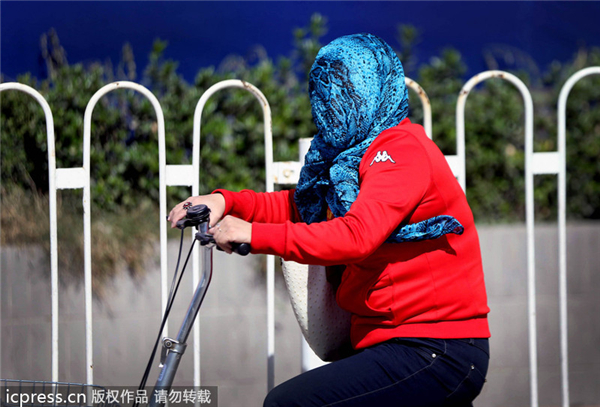 Gale-force winds wreak havoc in Beijing