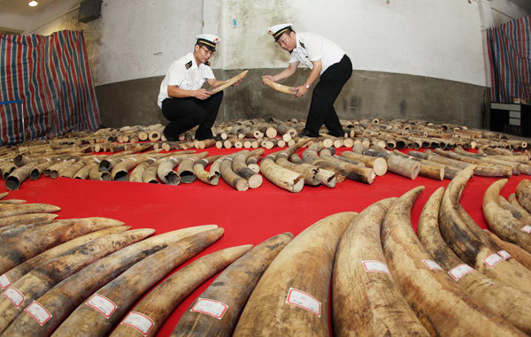 China vows to cooperate in global fight against ivory smuggling: FM