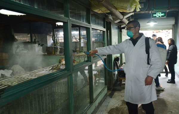 Hangzhou closes live poultry markets to combat bird flu