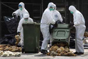 Three new H7N9 cases in China