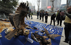 China leads int'l wildlife crime bust