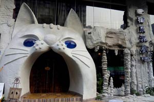 Stray cats wander in and around Forbidden City