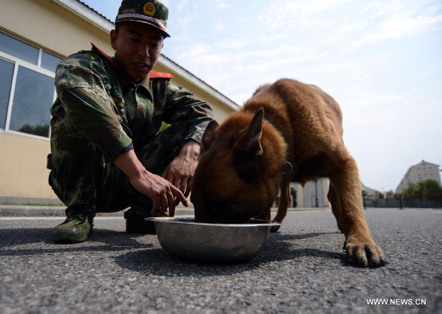 Police dog training base in Nanjing