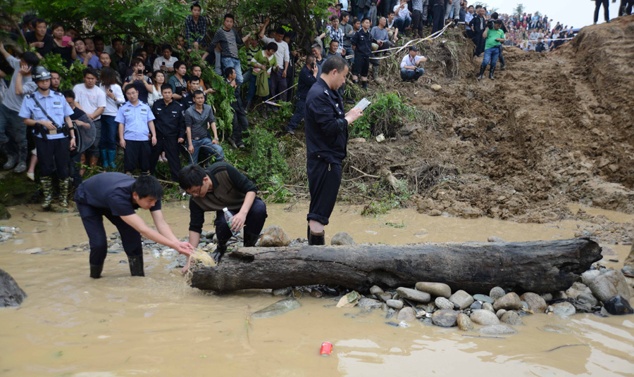 4,000-year-old ebony tree unearthed in E China
