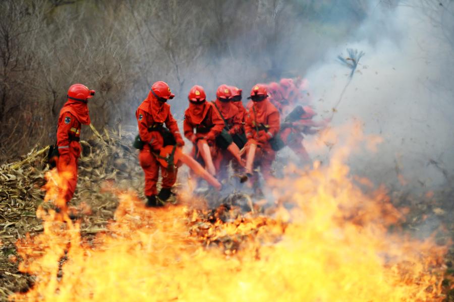 Forest team tackles fire drill in NE China