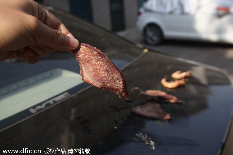 Sizzling heatwave 'cooks' East China