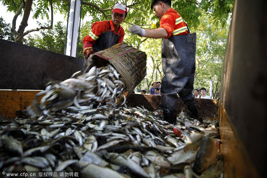 10 tons of fish buried alive at landfill in S China