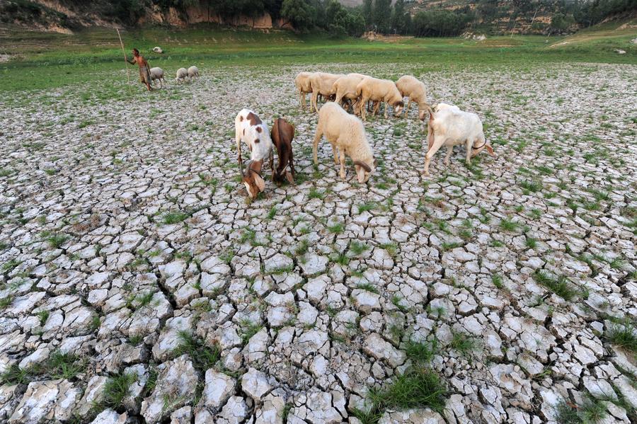 Drought persists in Central China's Henan province
