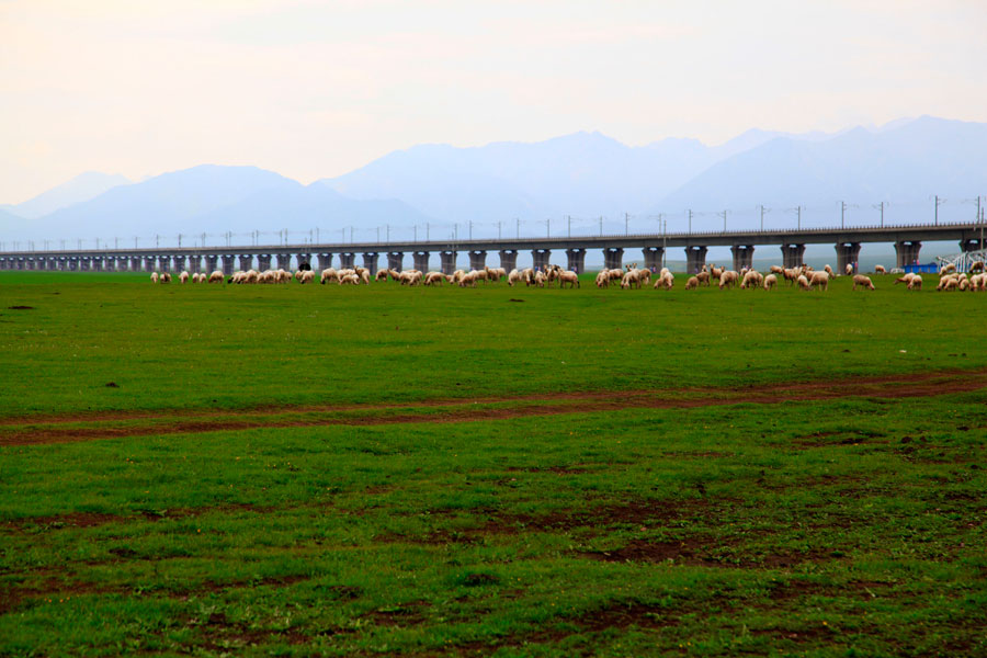 Silk Road railway in Northwest China nears completion