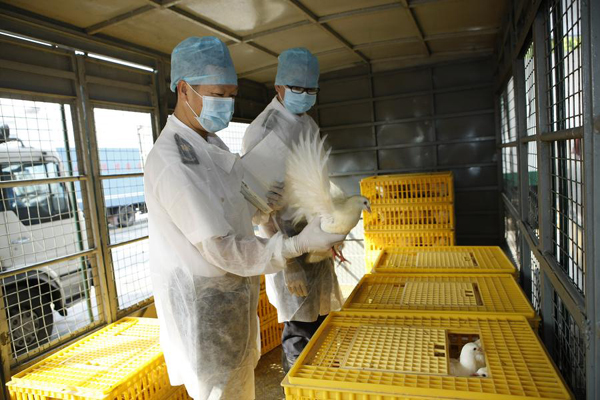 Hong Kong to resume poultry imports from mainland