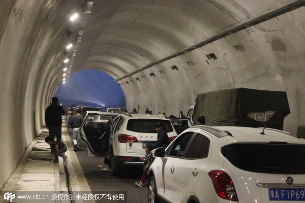 Traffic jam turns tunnel into a dog-walking lot