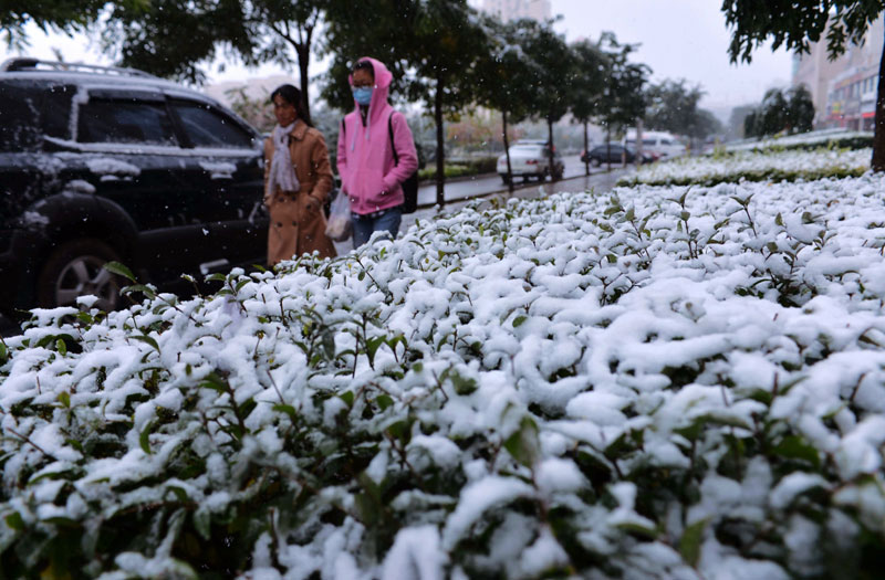 Cold wave brings first snowfall this autumn to Gansu