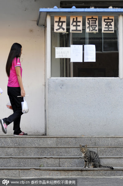 Chinese students turn to pets for company