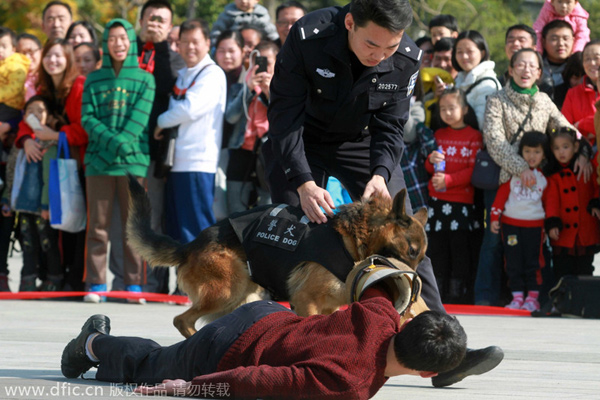 Police reveal role dogs play in fighting crime