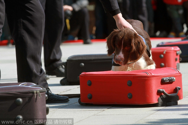 Police reveal role dogs play in fighting crime