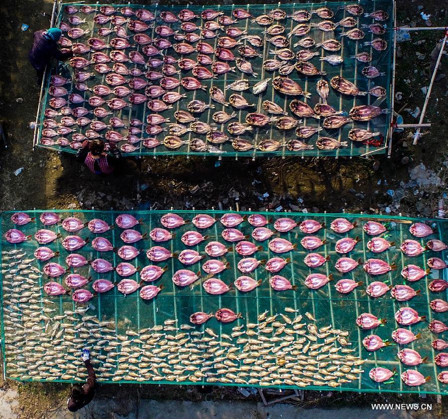 Harvest time of fish starts in E China's Zhejiang