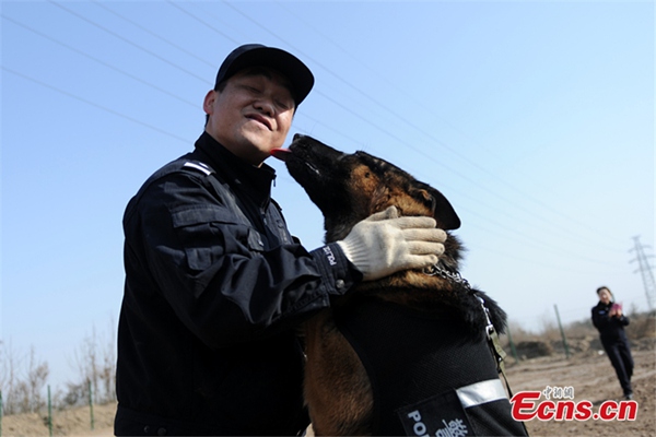 Police canines prep for travel season