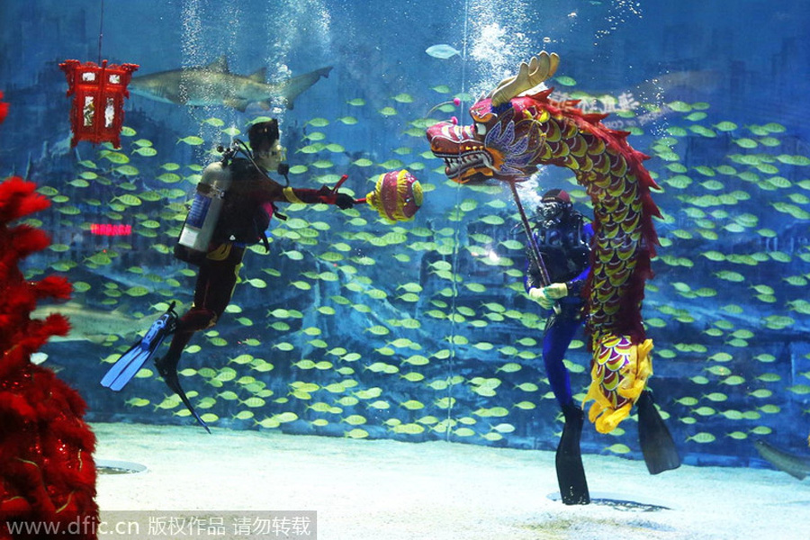 Divers perform ‘dragon dance’ with sharks