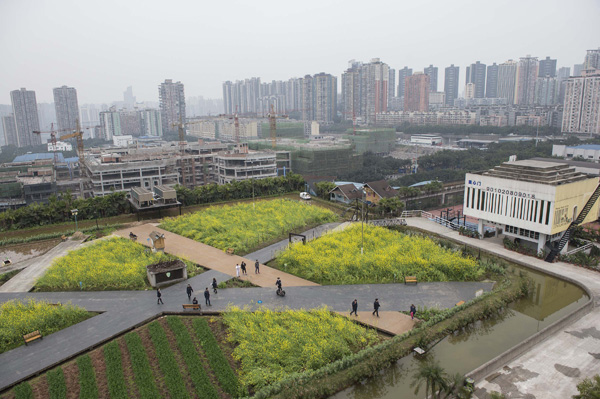 10,000-sq-m farm built on rooftop