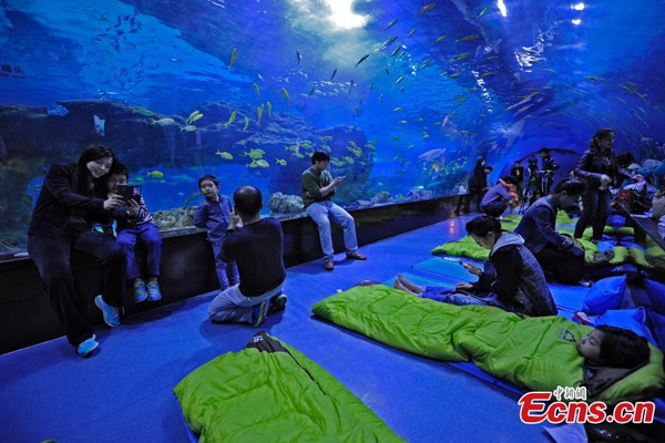 Sleep with fish at Tianjin aquarium